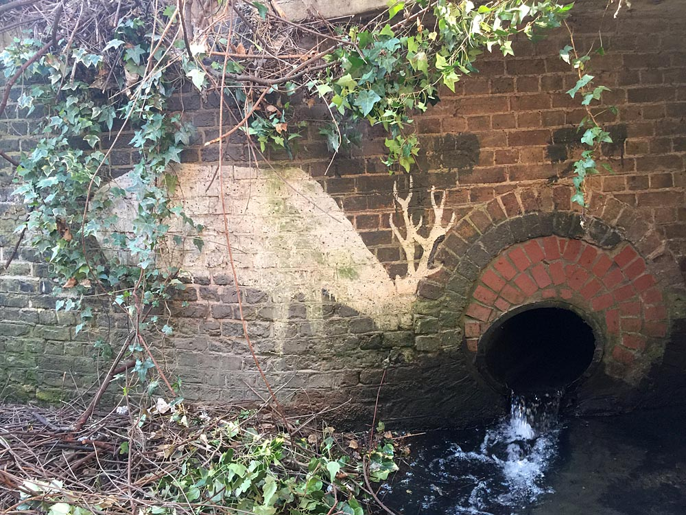 Quagg Ridge River Quaggy & Sports Grounds - Lee Forum